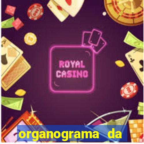 organograma da cacau show